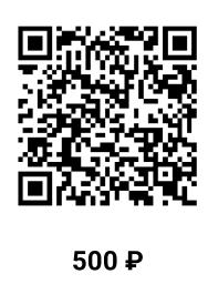 QR 500